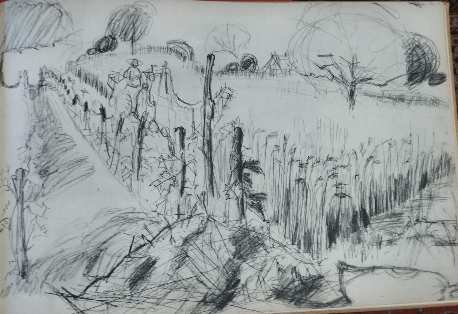 Gallery thumbnail