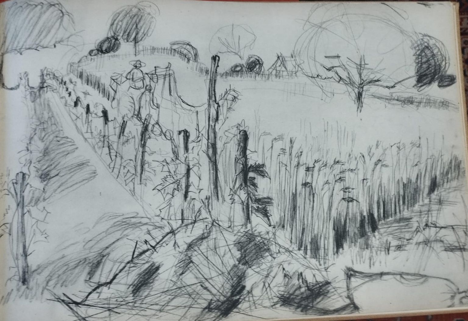 Gallery thumbnail