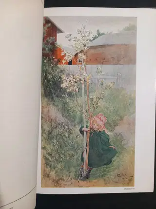 Gallery thumbnail