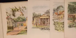 Gallery thumbnail