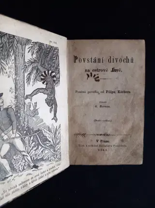 Daniel Defoe – Povstání divochů na ostrově Javě 1861 – photo 2