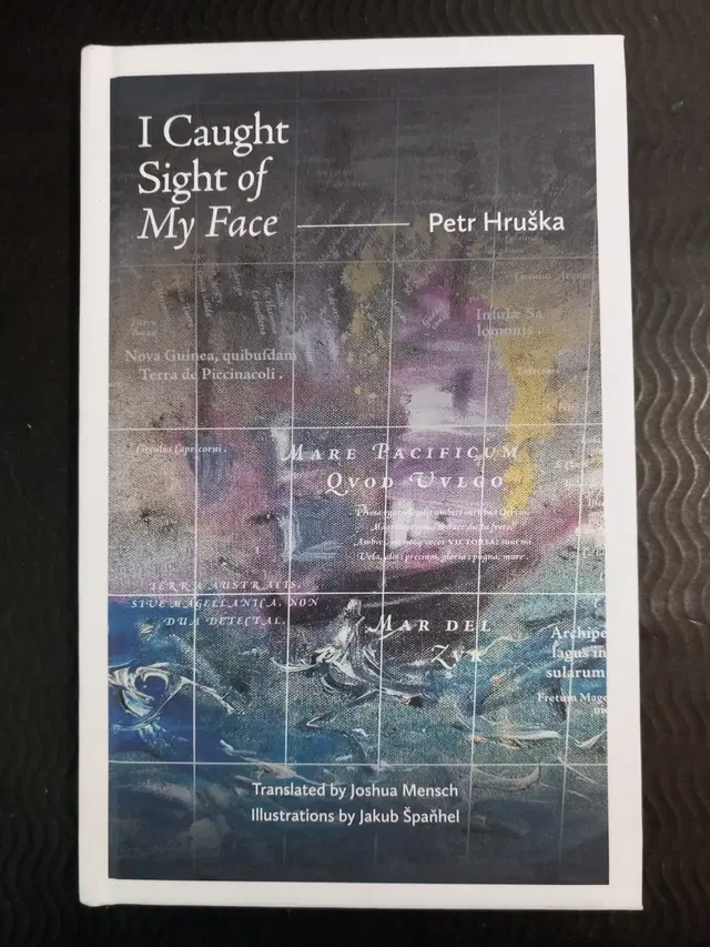 Petr Hruška – I Caught Sight of My Face