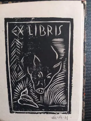 Gallery thumbnail