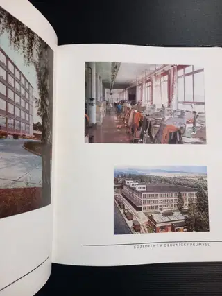 Gallery thumbnail