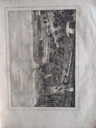 Gallery thumbnail