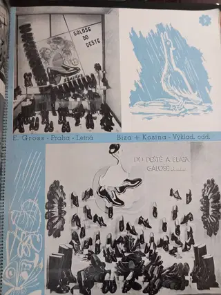Gallery thumbnail