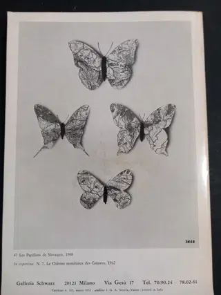 Gallery thumbnail