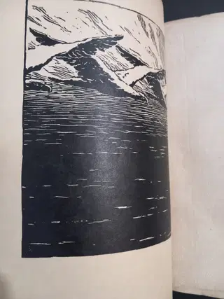 Gallery thumbnail