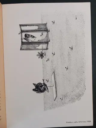 Gallery thumbnail