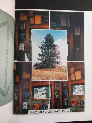 Gallery thumbnail