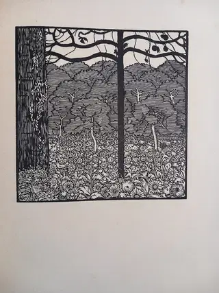 Gallery thumbnail