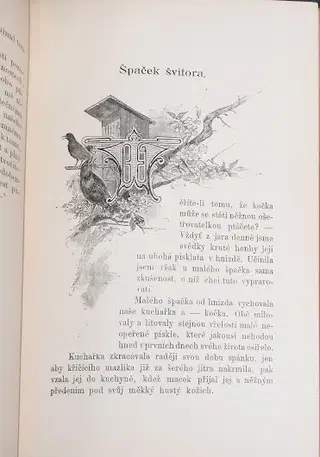 Gallery thumbnail