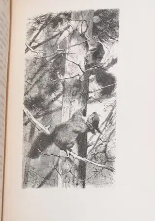 Gallery thumbnail