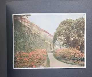 Gallery thumbnail