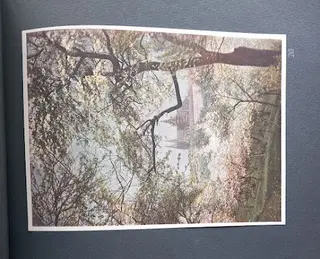 Gallery thumbnail