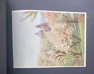 Gallery thumbnail