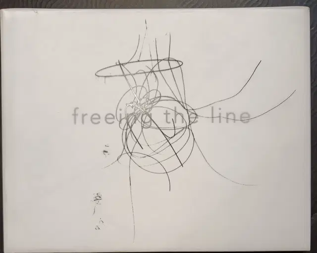 Catherine de Zegher: Freeing the line