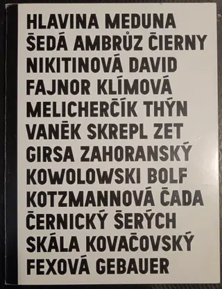 Šestý Nový zlínský salon 2011 – photo 1