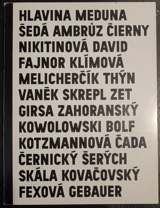 Šestý Nový zlínský salon 2011