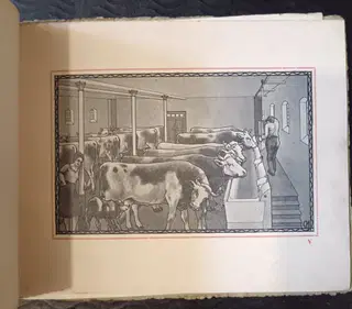 Gallery thumbnail