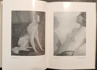 Gallery thumbnail