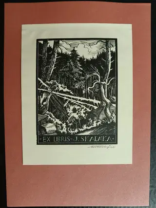 Gallery thumbnail