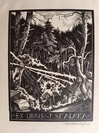 Gallery thumbnail