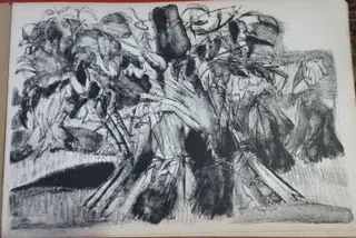 Gallery thumbnail