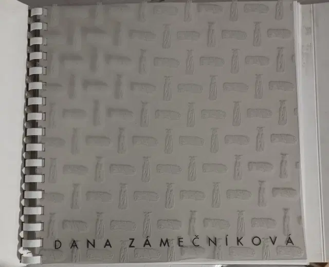 Dana Zámečníková