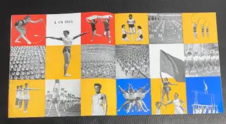 Gallery thumbnail