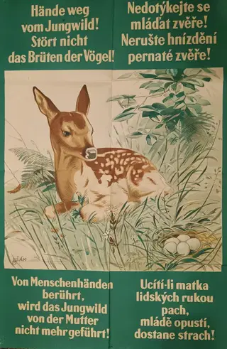 Plakát 40. léta: "Nedotýkejte se mláďat zvěře" – photo 1