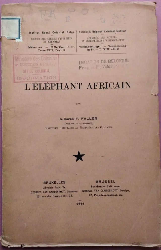 F. Fallon - L´éléphant africain
