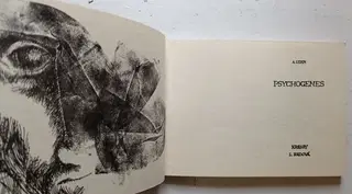 Gallery thumbnail