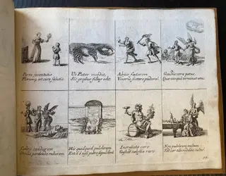 Gallery thumbnail